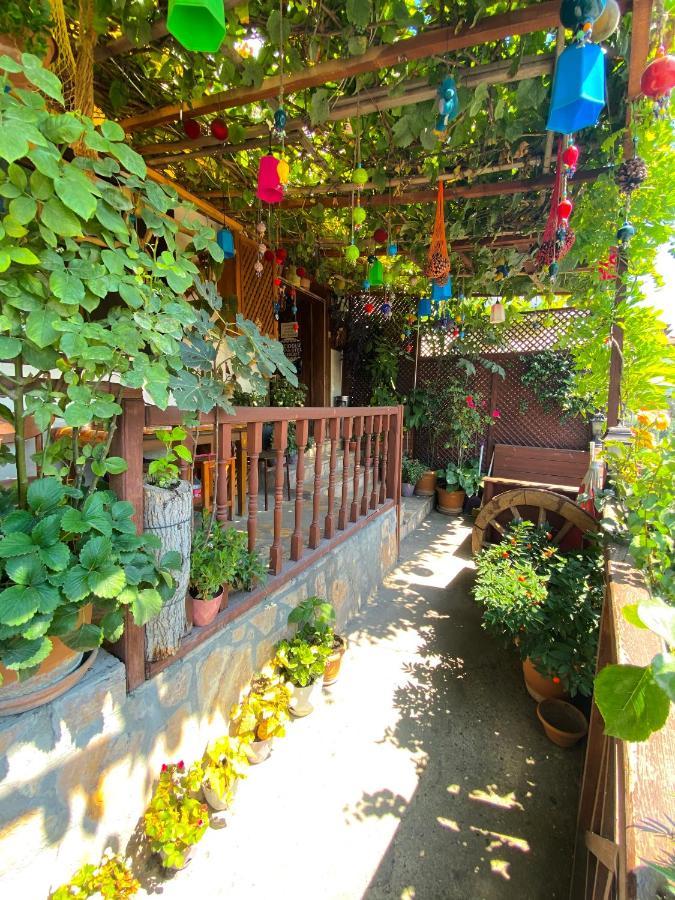 Avcioglu Konak Otel Safranbolu Exteriér fotografie